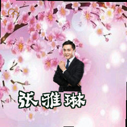 张雅琳